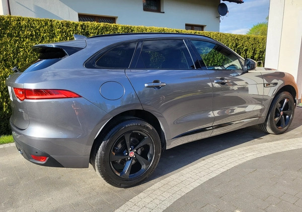 Jaguar F-Pace cena 116990 przebieg: 84000, rok produkcji 2018 z Dynów małe 781